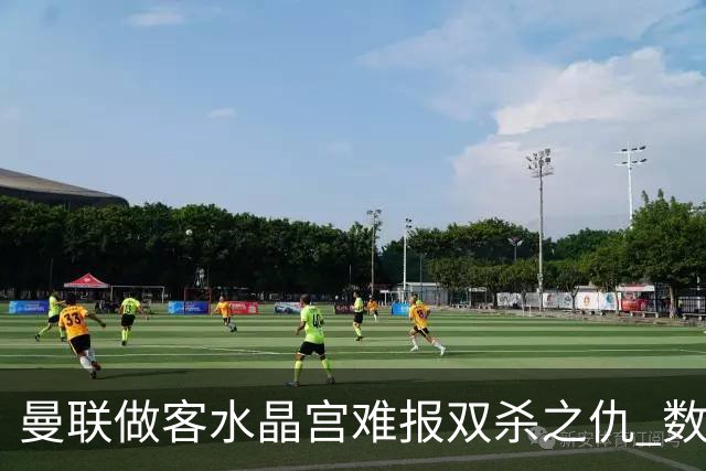 曼联做客水晶宫难报双杀之仇 数据示1-1战平